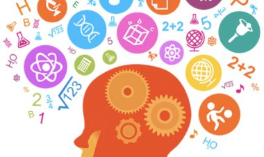 Zeki İnsanlar Her Zaman Başarılı Mıdır ?