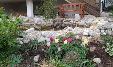 Düşünce, Duygu ve Davranışlarını Değiştir Hayatın Değişsin