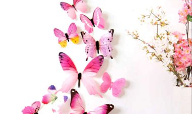 Yaşadıklarımızın Hikmet Boyutu Var Mıdır?