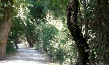 Ah Almamış Vah Edilmemiş Ata Mirası