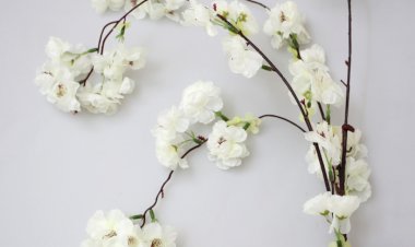 Kime Eğitimci Diyebiliriz?