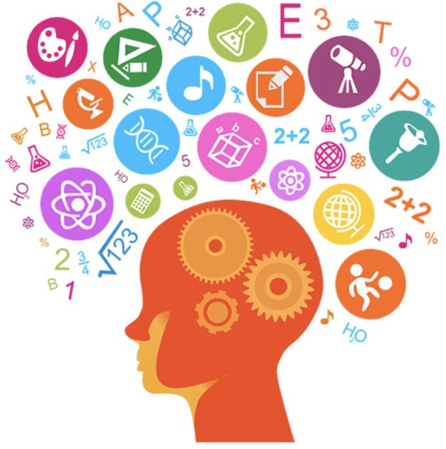 Zeki İnsanlar Her Zaman Başarılı Mıdır ?