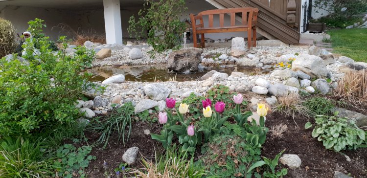 Düşünce, Duygu ve Davranışlarını Değiştir Hayatın Değişsin