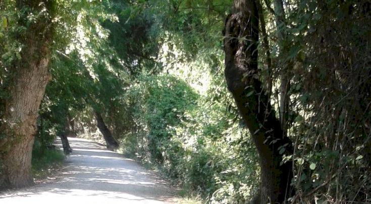 Ah Almamış Vah Edilmemiş Ata Mirası