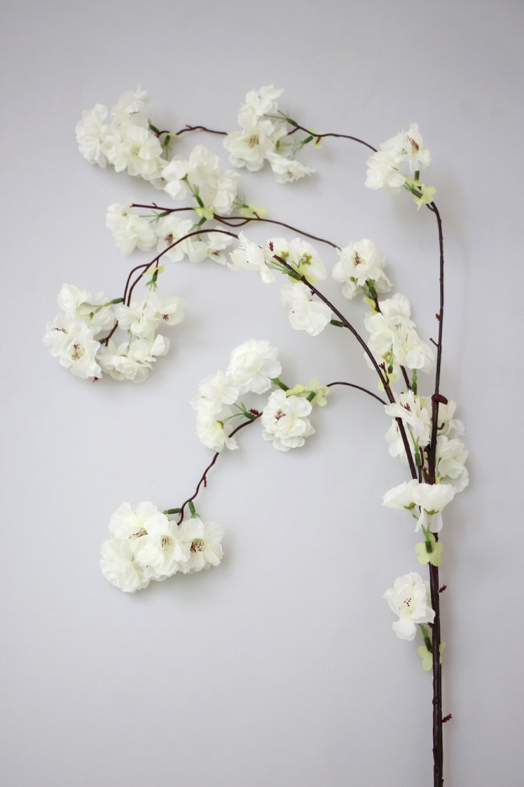 Kime Eğitimci Diyebiliriz?