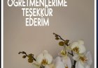 Öğretmenlerime Teşekkür Ederim