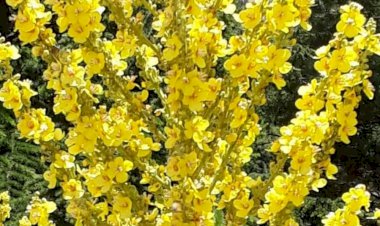 Kendine Büyü Yapmaktan Vazgeç