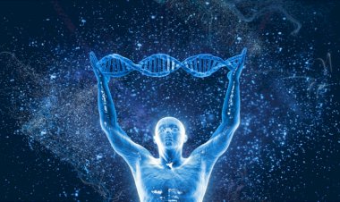 Düşüncelerin Mucizesi