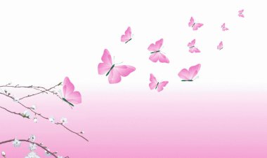 Mucizelere İnanır Mısınız?