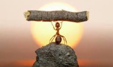 Başarıdan Ziyade Azmi Takdir Edelim