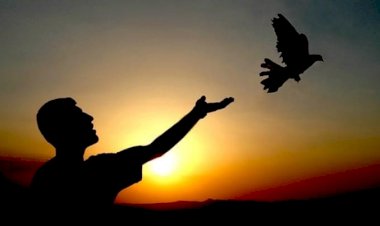 Hayattan Ne Bekliyorsun?