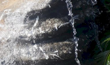 Bakış Açısıyla Akışa Uyum