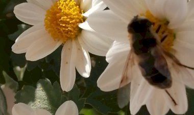 Zenginlik İçinizde Saklı