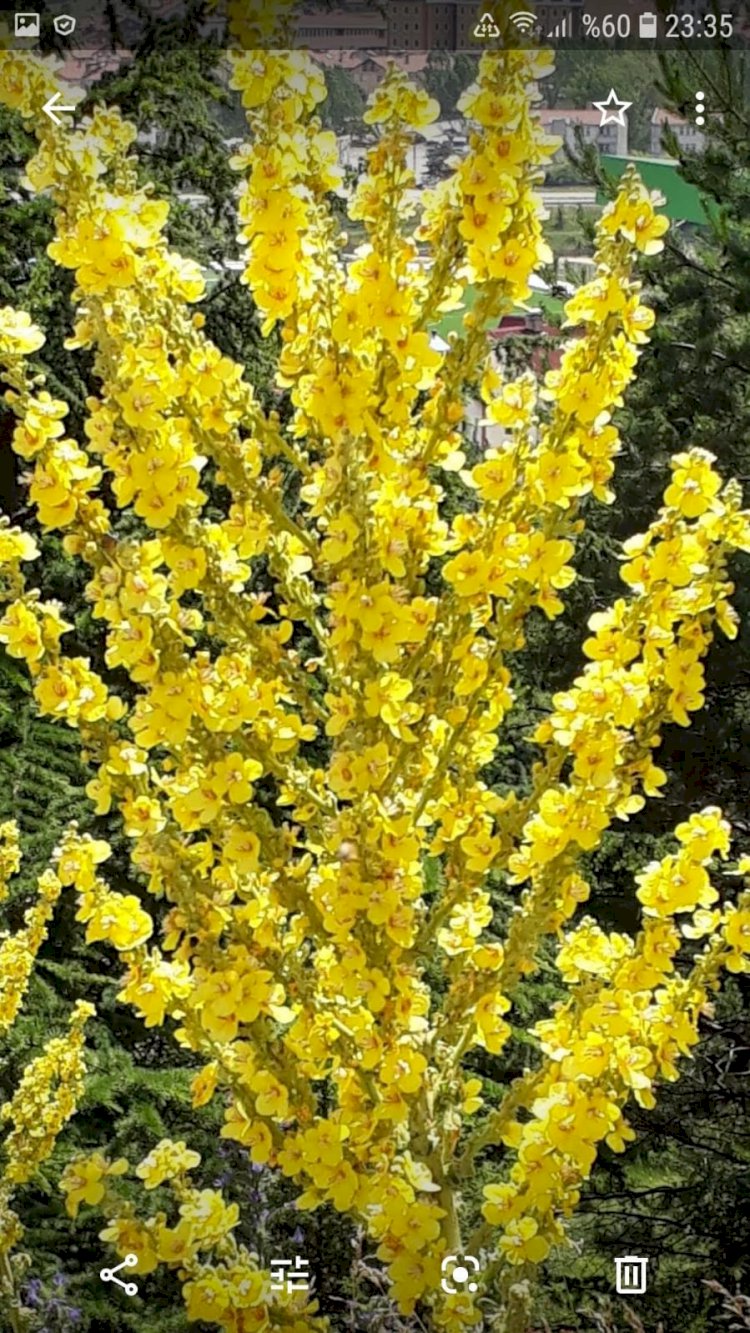 Kendine Büyü Yapmaktan Vazgeç