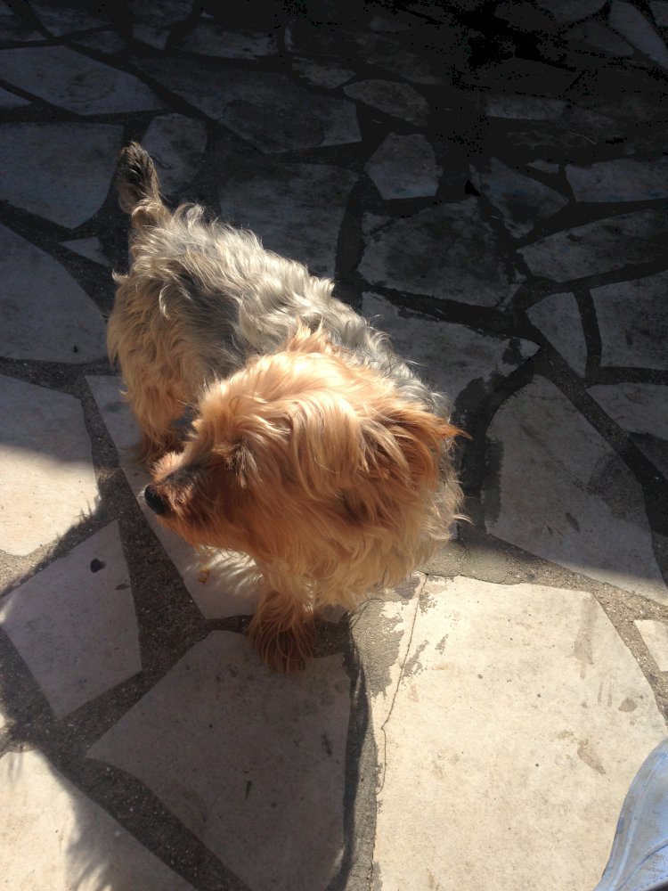 Düşüncelerin Mucizesi