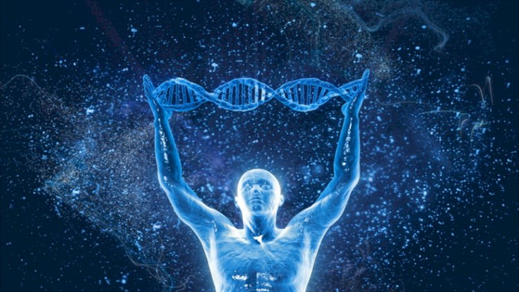 Düşüncelerin Mucizesi