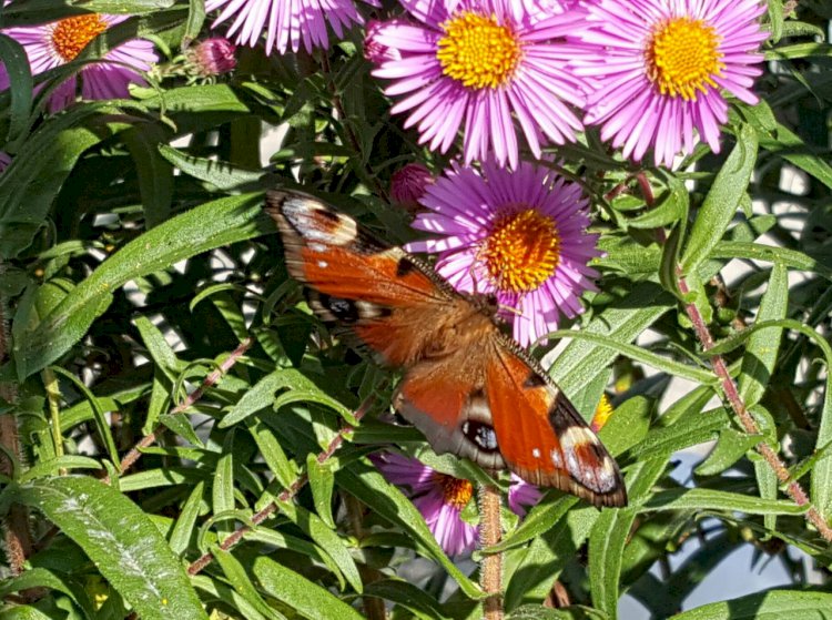 Doğru Zamanda Doğru Yerde Ve Dozunda Sorular Sormak