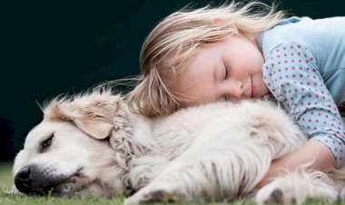 Saf Çocuk Bilince Ulaşmak!