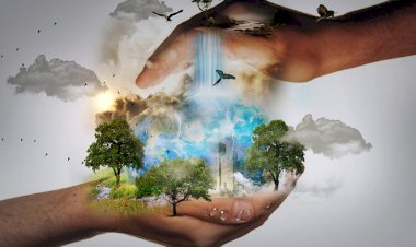 İnsanın Yolculuğu Nereye?