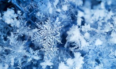 Kar Tanelerin Huzuru Bulaşıcıdır