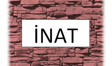 İnat Eden mi Kazanıyor, Sisteme Uyan mı ?