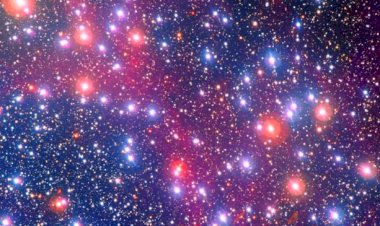 Hayatı İyileştirme Antrenmanları