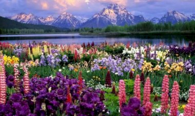 Özgürlük ÖZ'ünde Olmasın ?