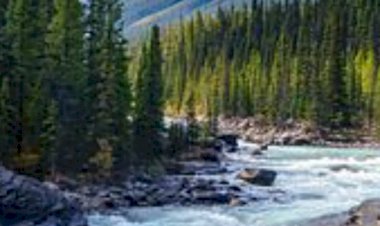 Yaşam Savaşını, Yaşam Sanatına Dönüştürmek