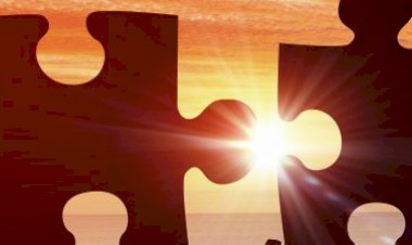 Bazı Roller İnsanın Üzerine Yapışır