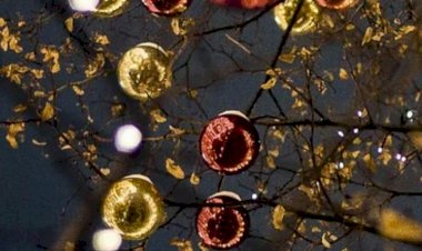 Kanuna Uyanlar Ve Kanunsuzlar