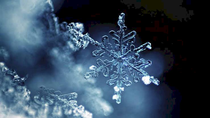 Kar Tanelerin Huzuru Bulaşıcıdır