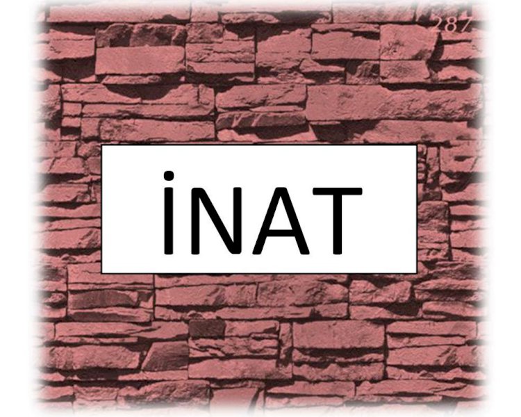 İnat Eden mi Kazanıyor, Sisteme Uyan mı ?