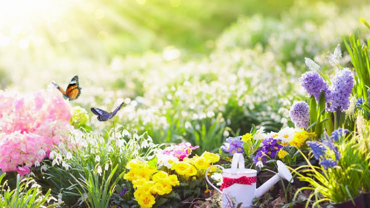 Kayıplarına Hoşcakal Deme Vakti