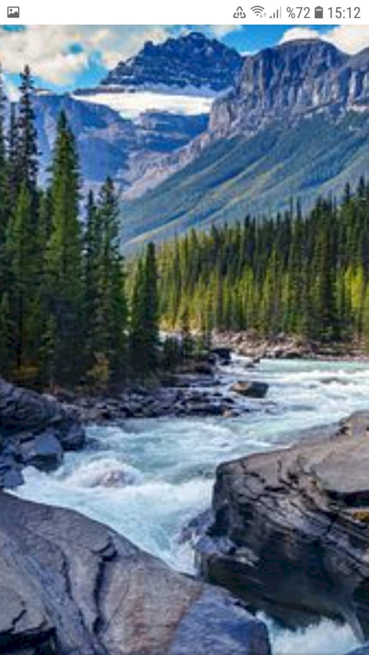 Yaşam Savaşını, Yaşam Sanatına Dönüştürmek