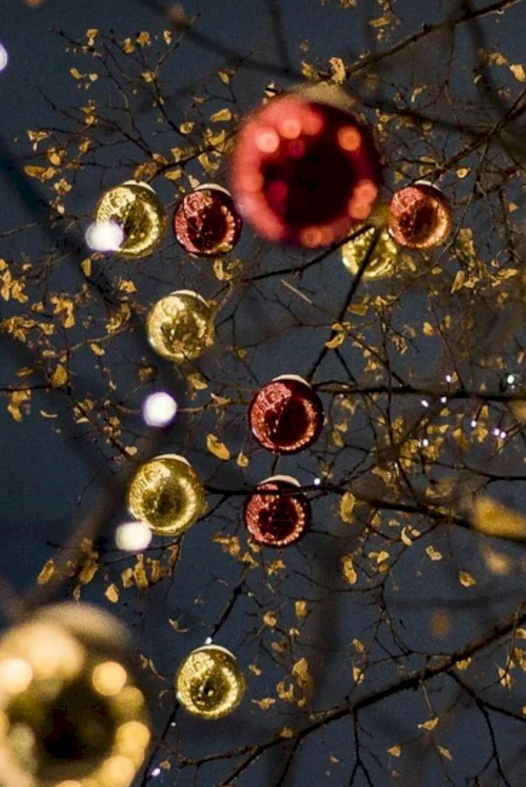 Kanuna Uyanlar Ve Kanunsuzlar