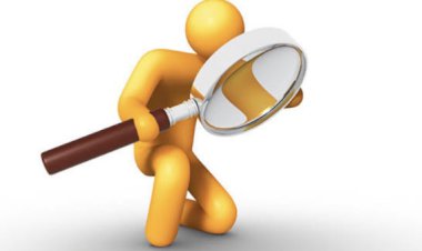 Kamu Girişimciliği