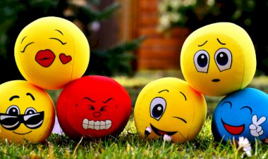 Bu Duygu Bana Ne Söylüyor?