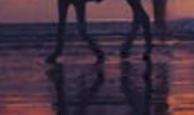 Aynılık Enerjisi İle Aynalamak