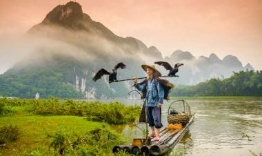 Bilgeleşerek Yaş Almak