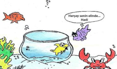 Her Gün Bir Kez Daha