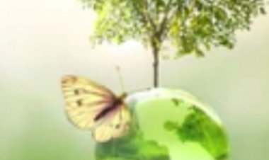 Kendimizi Ve Soyumuzu Nasıl Şifalandırabiliriz?