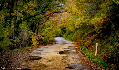 Kendimize Yaptığımız Yolculuk