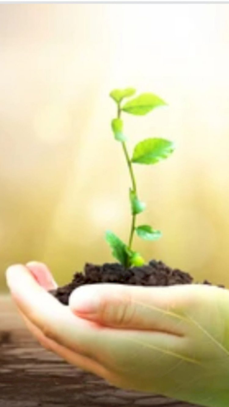 Epigenetik Miraslardan Arınmak