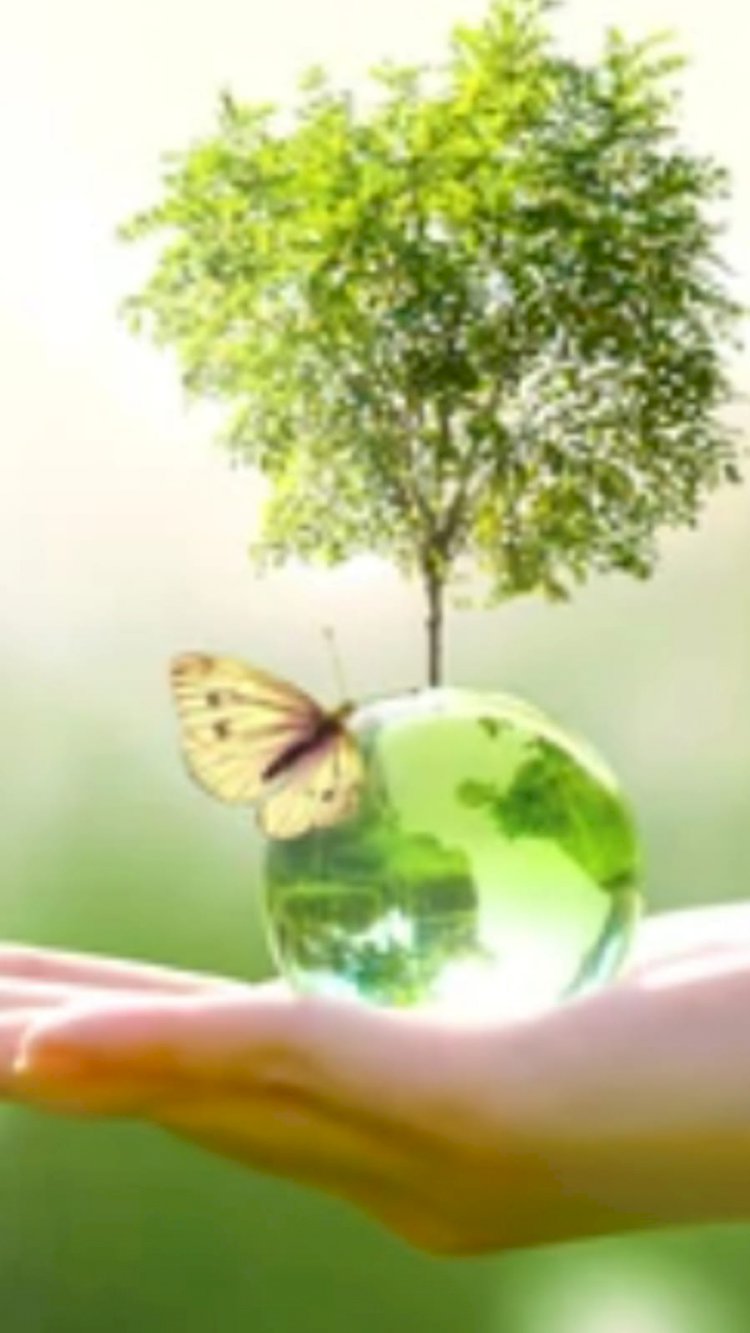 Kendimizi Ve Soyumuzu Nasıl Şifalandırabiliriz?