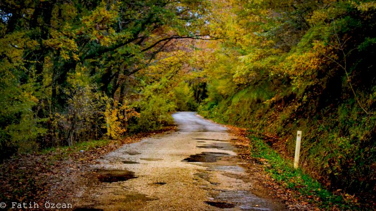 Hayatın Altı Üstünden Güzel