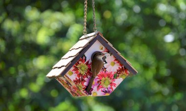 Kalem Başka, Kelam Başkadır!