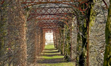 Vesvese Sözlüğü 11-Peygamber Efendimiz (sav)’in Vesveseyle ilgili    Hadis- i Şerifleri ve Korunma Yöntemleri