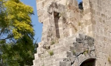 Bu  Milletin Sırtı Yere Gelmez