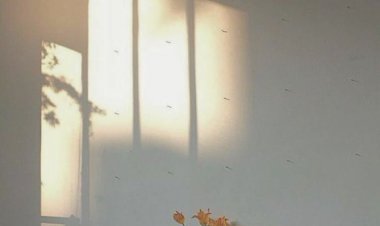 Sevgi Üzerine Ne Çok Söylenecek   Söz Var