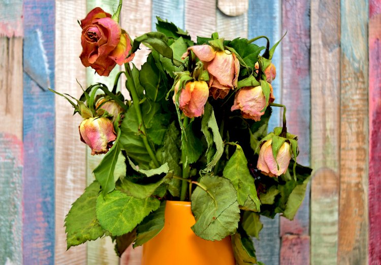 Vesvese Sözlüğü 5- Vesvesenin Zararları